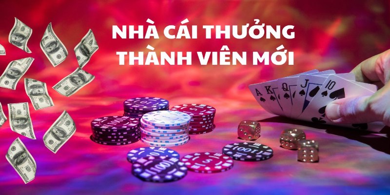 Hoàn tiền cược đầu tiên cho thành viên mới thêm cơ hội trải nghiệm game 