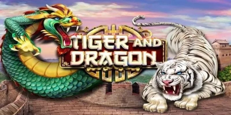 Cách chơi Rồng Hổ – Sân chơi dành cho các cao thủ hàng đầu